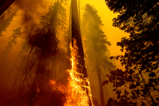 California state AG refuses to crack down on illegal fireworks causing wildfires, damage