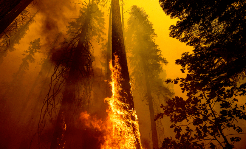 California state AG refuses to crack down on illegal fireworks causing wildfires, damage