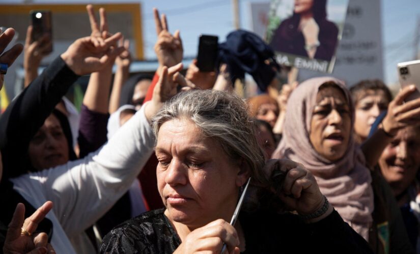 Iranian students clash with police as deadly regime crackdown nears 20th day