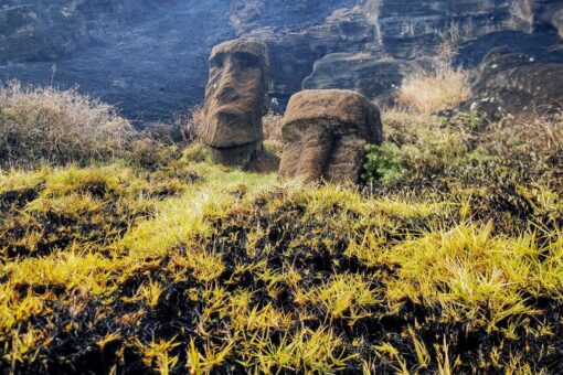 Iconic Easter Island ‘Moai’ statues severely damaged in wildfire: ‘It’s irrecoverable’