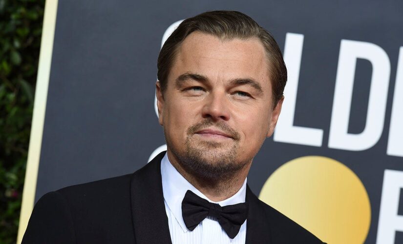 Group Leo DiCaprio funneled grants through to fund climate lawsuits moved to largest US dark money network