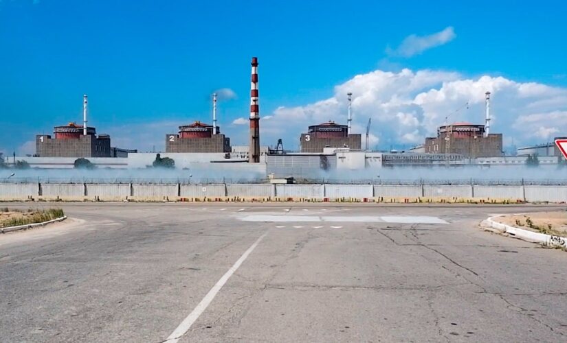 Russia blindfolds, detains Ukraine nuclear plant chief