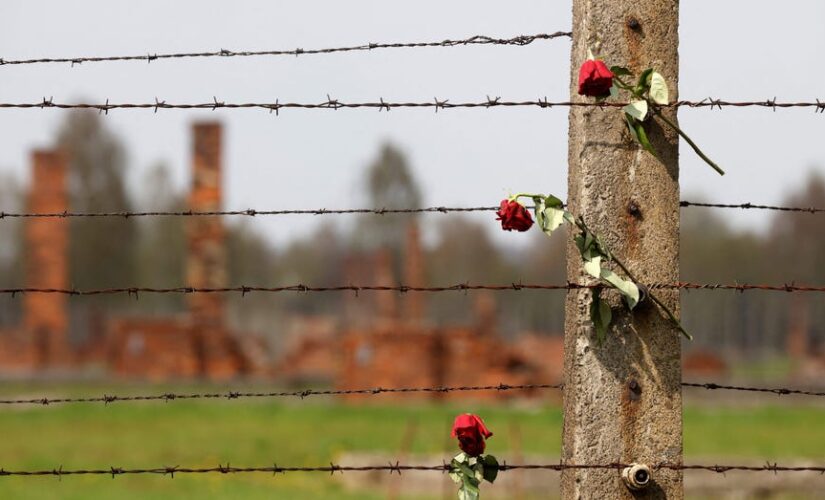 Zilli Schmidt, Auschwitz-Birkenau survivor, passes away at 98