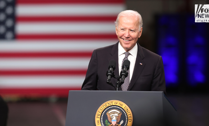 Biden policies timed to boost voter turnout in November: Dem strategists