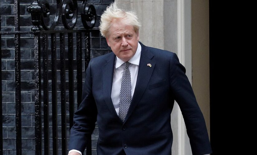 Boris Johnson announces he will not run to be next UK prime minster