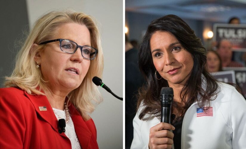 TULSI GOES TO WAR WITH LIZ CHENEY: Tulsi Gabbard calls out Cheney-backed Dem, endorses GOP opponent