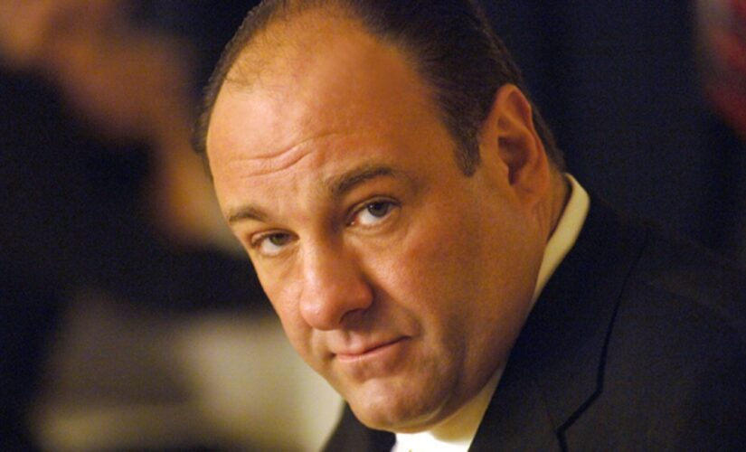 Acting legend James Gandolfini: Mafia boss, hitman, mayor, and other notable roles