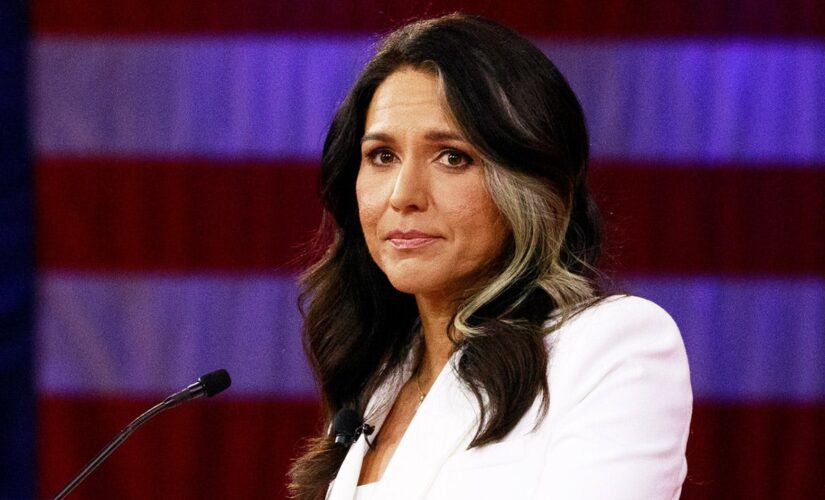 Tulsi Gabbard leaves Democratic Party, denounces it as ‘elitist cabal’