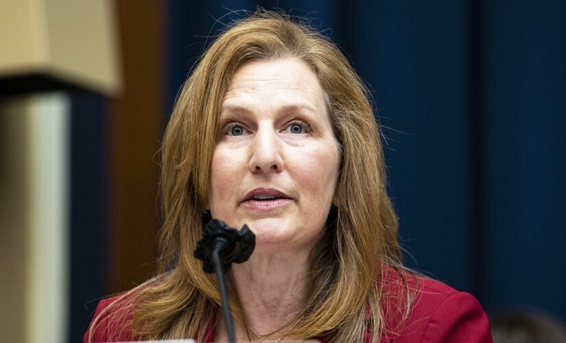 Rep. Schrier says Dem spending ‘rescued our economy,’ despite inflation reaching 40-year high