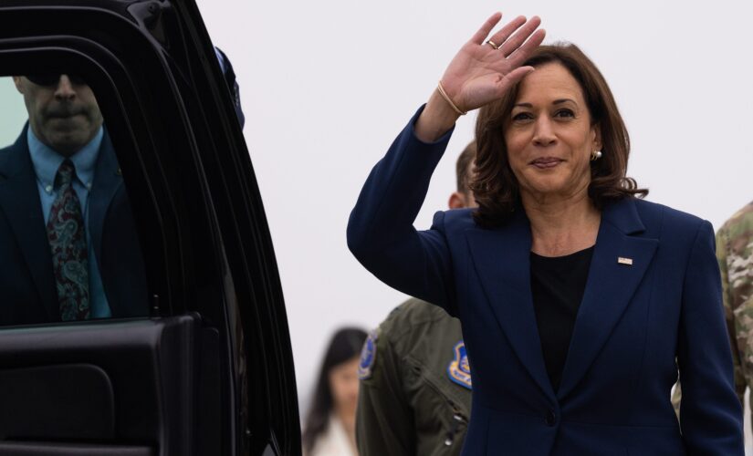 Harris again pushes amnesty, slams GOP govs for ‘dereliction of duty’ in sending migrants north