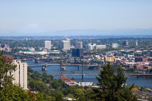 Oregon voters to decide on strict gun control measure: ‘People will not have the means to protect themselves’