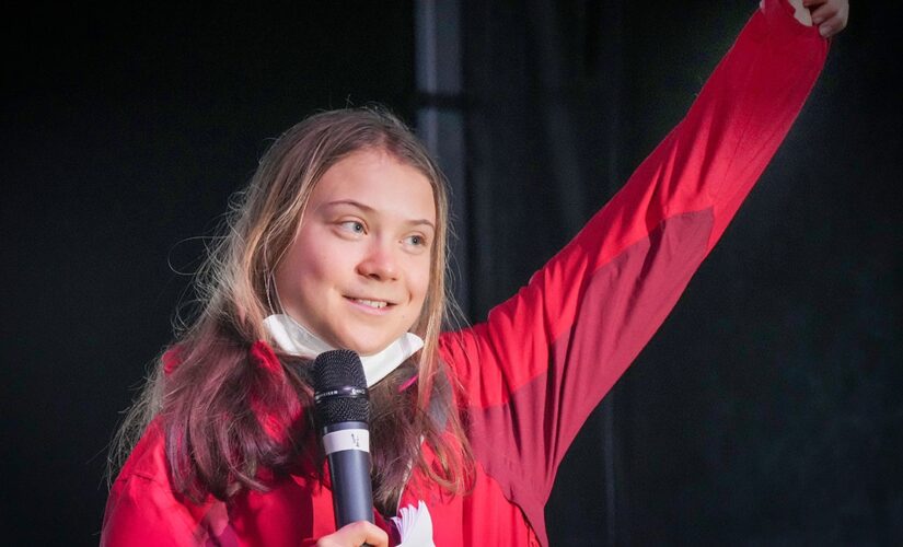 Greta Thunberg reverses course on nuclear power, argues Germany is making a mistake by taking plants offline