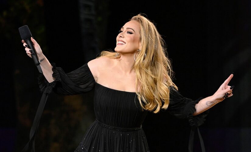 Adele announces surprise career change after debuting her ‘I Drink Wine’ music video