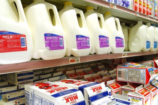 Teens are pouring milk out in grocery stores in new trend to raise awareness about dairy production emissions