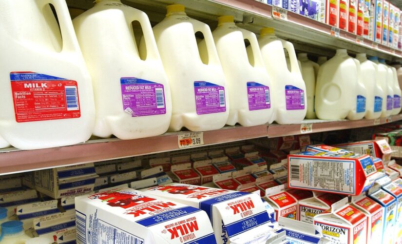 Teens are pouring milk out in grocery stores in new trend to raise awareness about dairy production emissions