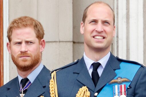 Prince Harry ‘has always been suspicious’ of palace staff that ‘prioritized’ Prince William, royal expert says