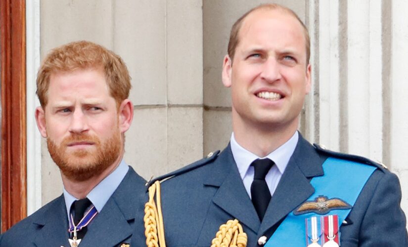 Prince Harry ‘has always been suspicious’ of palace staff that ‘prioritized’ Prince William, royal expert says