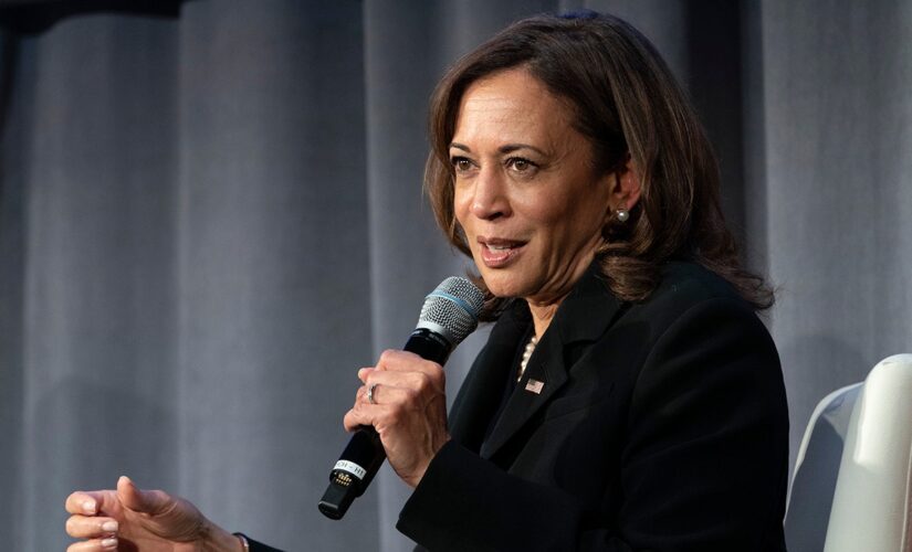 VP Kamala Harris says hurricane recovery should take ‘equity’ into account