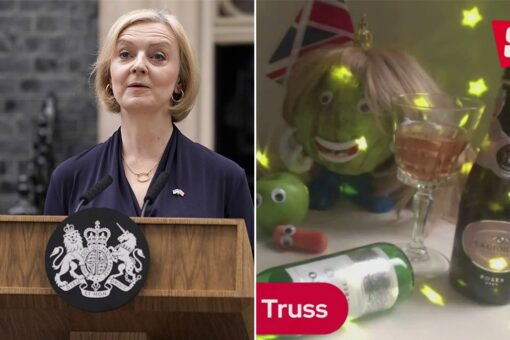 Liz Truss vs. lettuce: UK prime minister outlasted by livestreamed vegetable