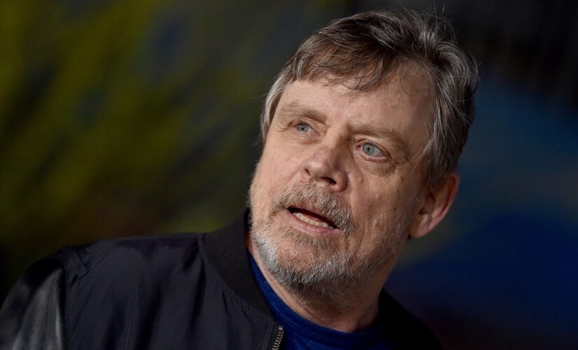 ‘Star Wars’ actor Mark Hamill donated 500 drones to Ukraine forces through charity