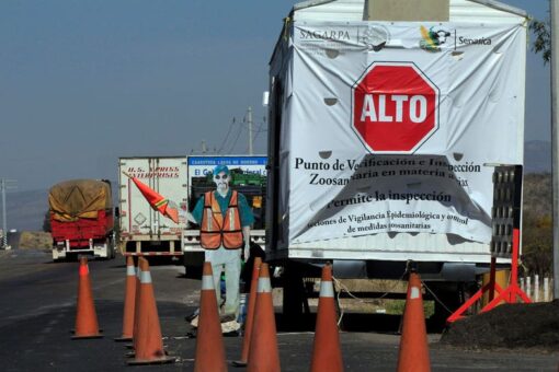 Mexico discovers H5N1 bird flu near US border