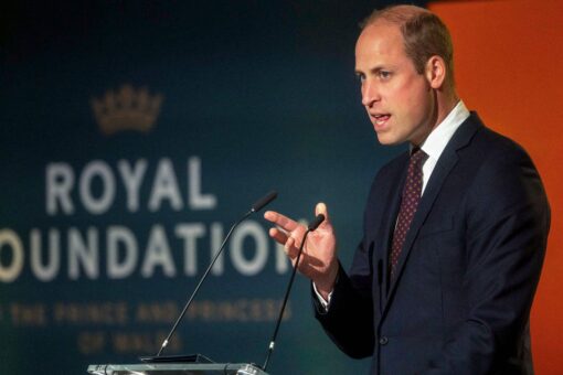 Prince William’s giant ‘garden city’ slammed by climate activists