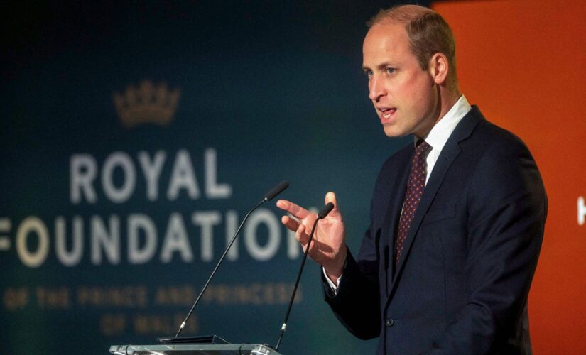 Prince William’s giant ‘garden city’ slammed by climate activists