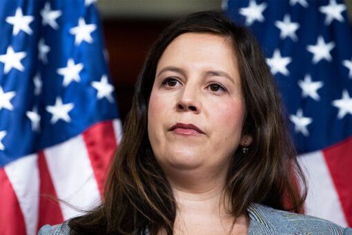 Stefanik calls on Mayorkas to resign amid ‘whipping’ scandal