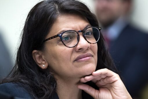 Tlaib-linked Dem fundraiser placed on leave over anti-Semitic posts