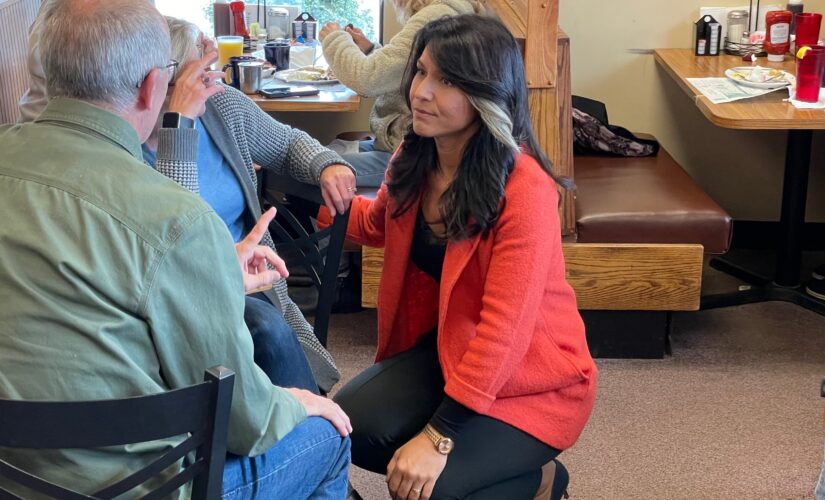 Tulsi Gabbard: Campaigning with Republican not a move towards joining GOP, says ‘I’m an independent’