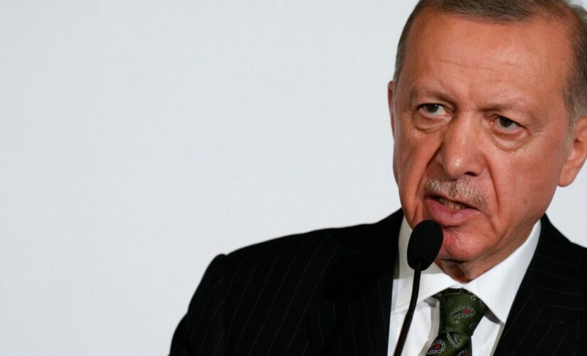 Turkey’s Erdogan suggests Sweden, Finland should join NATO at separate times