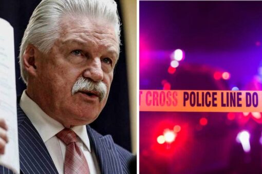 Top Democratic prosecutors revolt against criminal justice reform law they say will ‘destroy’ Illinois