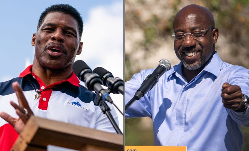 Raphael Warnock retains edge over Herschel Walker in Georgia Senate showdown: poll