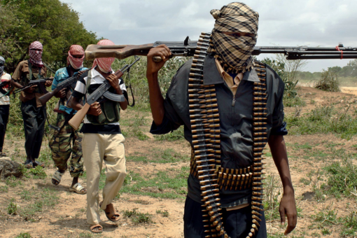 US forces kill two al-Shabaab terrorists in airstrike in Somalia, Pentagon says