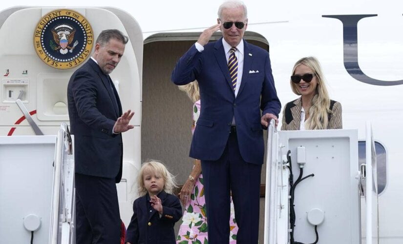 Hunter, James Biden on the witness list if Republicans take control of the Senate