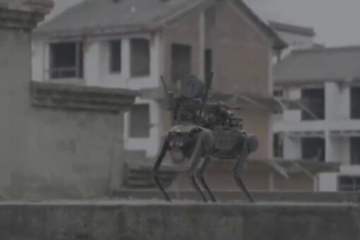Shocking video shows Chinese robot attack dog with machine gun dropped by drone