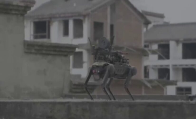 Shocking video shows Chinese robot attack dog with machine gun dropped by drone