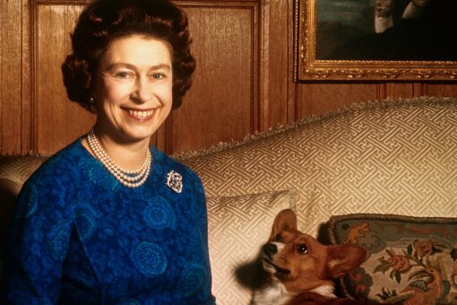 Queen Elizabeth II ‘hit exceptionally hard by the loss’ of one corgi: ‘Most devoted companion,’ expert says