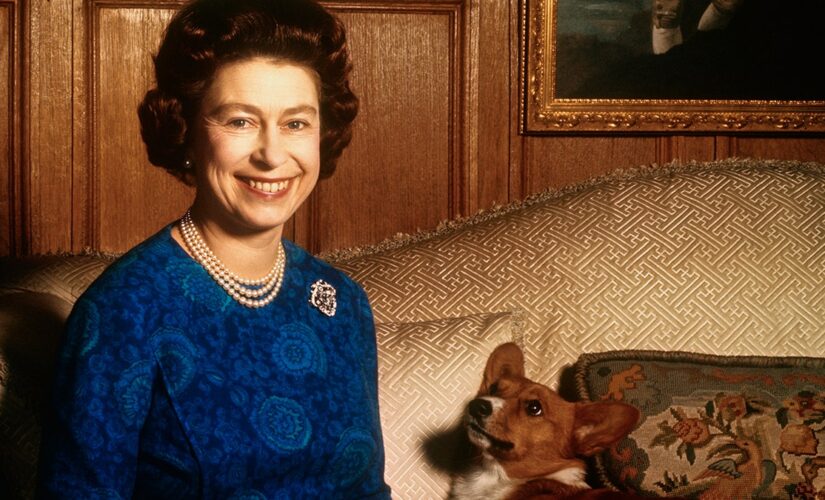 Queen Elizabeth II ‘hit exceptionally hard by the loss’ of one corgi: ‘Most devoted companion,’ expert says