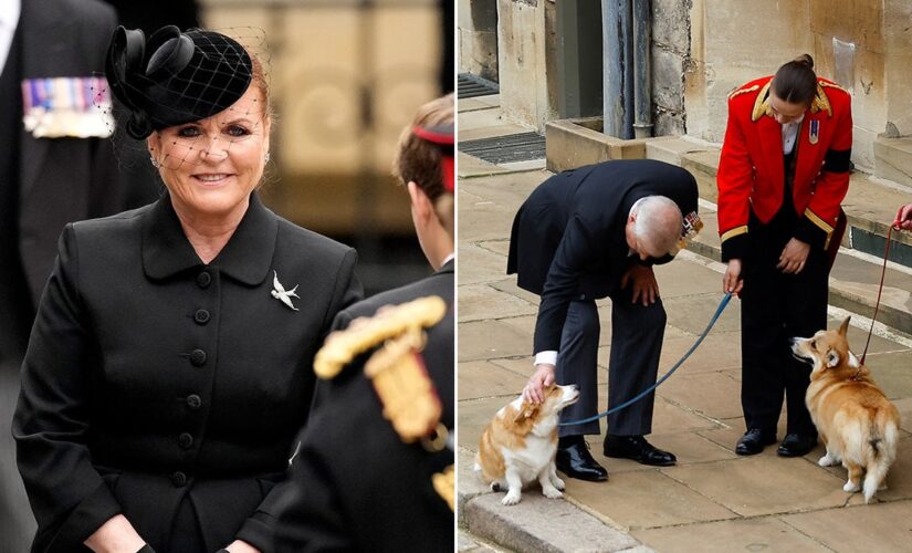 Queen Elizabeth II’s corgis are all right: Sarah Ferguson’s update on beloved dogs she and Andrew inherited