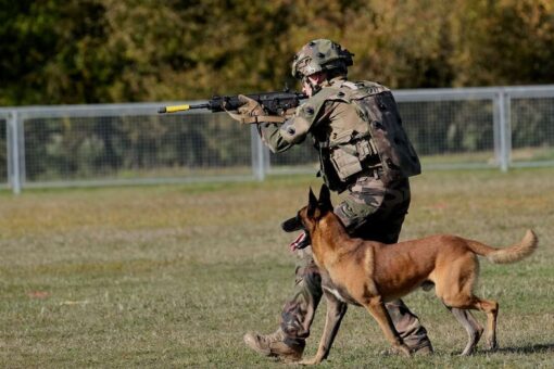 France inaugurates memorial honoring hero dogs