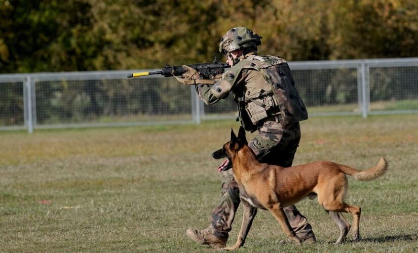 France inaugurates memorial honoring hero dogs