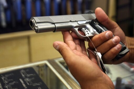 Strict gun bill on Oregon ballot will cause ‘greater risk of violence,’ harmful to public safety, critics warn