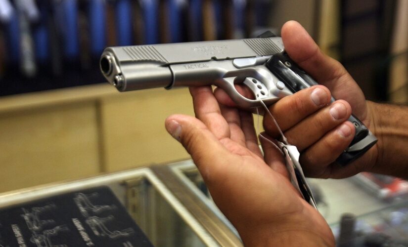 Strict gun bill on Oregon ballot will cause ‘greater risk of violence,’ harmful to public safety, critics warn