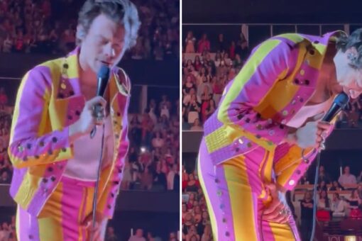 Harry Styles hit in groin with an apparent bottle at Chicago concert: ‘Shake it off’