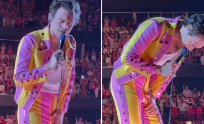 Harry Styles hit in groin with an apparent bottle at Chicago concert: ‘Shake it off’