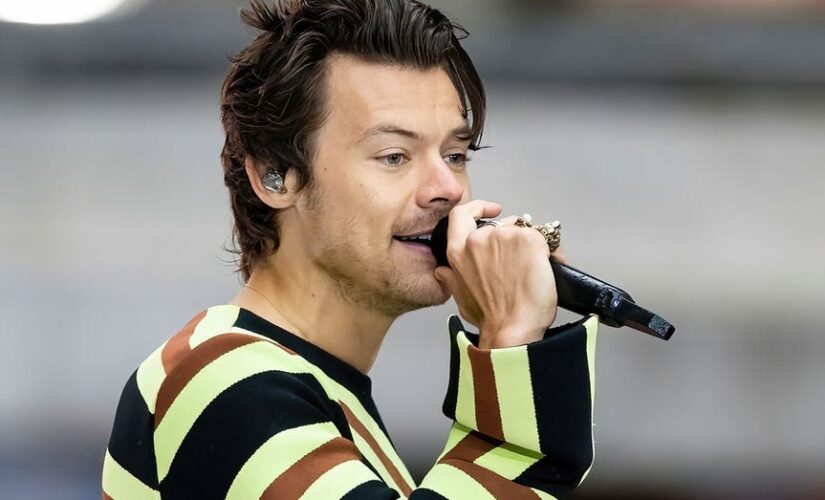 Harry Styles reschedules Chicago show due to band, crew illness after fans camp outside venue