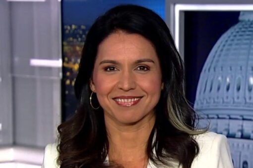 Democrat-turned-GOP congressman commends Gabbard for leaving party: moderate Dems ‘don’t exist anymore’