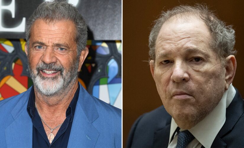 Mel Gibson can testify at Harvey Weinstein trial: judge