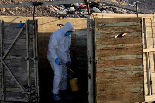 Mexico reports its first H5N1 bird flu infection